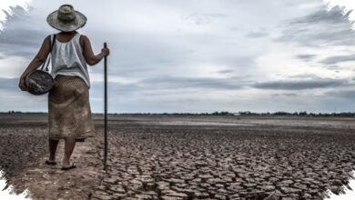 Peringatan Cuaca Ekstrem Makin Kuat, El Nino Diprediksi Menguat Lebih Cepat dari Dugaan