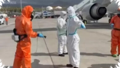 Kemenkes Bedakan Hantavirus Di Indonesia Dari Kasus MV Hondius, Strainnya Tak Sama