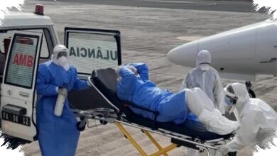 Dugaan Hantavirus Di Kapal Pesiar Picu Penyelidikan WHO, Iklim Membuat Risikonya Makin Dekat Ke Manusia