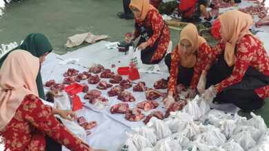Antraks Mengintai Di Balik Kurban, Kemenkes Minta Petugas Lengkap Dengan APD