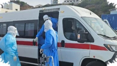 Puluhan Penumpang MV Hondius Masih Dipantau, Hantavirus Picu Kewaspadaan Lintas Negara