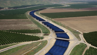Saat Kanal Ditutup Panel Surya, California Bisa Hemat Air Besar Tapi Tagihannya Masih Berat