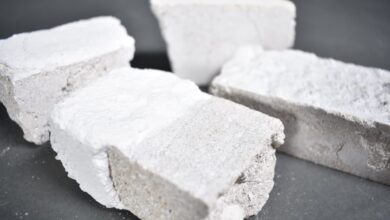 Terinspirasi Dari Tiram, Semen Baru Purdue Bikin Beton Lebih Tangguh dan Cepat Keras