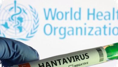 WHO Susun Taktik Cepat Untuk Hantavirus di Kapal Pesiar, Nasib 150 Penumpang Ditentukan