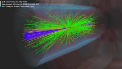 CERN Mengandalkan AI Untuk Menjinakkan Muon, Rekonstruksi Data Collider Jadi Lebih Rapi