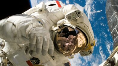 Dari Robotika Hingga Kedokteran, Jalur Tak Terduga Menuju Kursi Astronaut