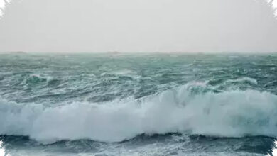 Surut Mendadak Di Teluk Lampung, Isyarat Tsunami Kecil Yang Sering Terlupakan