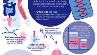 Uji Obat Tak Lagi Menunggu Lama, Human Organ Chip Mulai Mengubah Cara Farmasi Bekerja