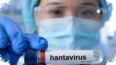 Kasus Hantavirus Tunggal Di Jatim Telah Sembuh, Sempat Tertukar Dengan Leptospira