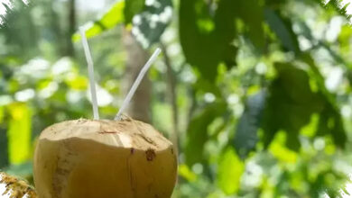 Pilihan Minuman Pagi yang Paling Membantu Tubuh Pulih, Dari Air Putih Sampai Kopi