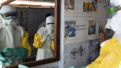 Klaster Hantavirus Di Kapal Muncul, WHO Tetap Menilai Risiko Global Masih Rendah