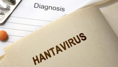 Bukan Penyakit Baru, Hantavirus Lama Ini Kembali Muncul Di Indonesia Dan Perlu Diwaspadai