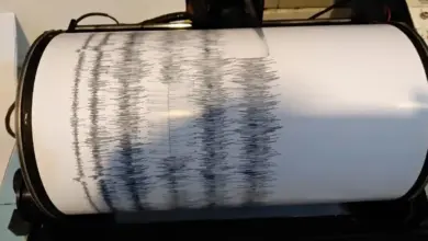 Gempa Bermagnitudo 2,8 Terasa Di Jember, Pusat Getaran Tercatat Jauh Di Tenggara Pada Kedalaman 87 Km