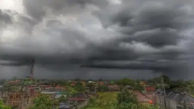 Kamis Ini Jawa Timur Tak Seragam, Ada Hujan Ringan, Hujan Sedang, hingga Jember yang Cerah