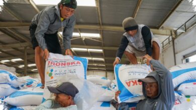 Penebusan Pupuk Jabar Kian Kencang, Stok di Gudang Tetap Terjaga Saat Musim Tanam Puncak