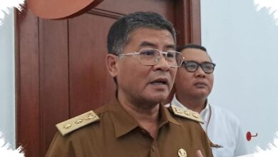 Wagub Jabar Peringatkan Bobotoh, Sweeping Plat B Tak Boleh Warnai Euforia Persib