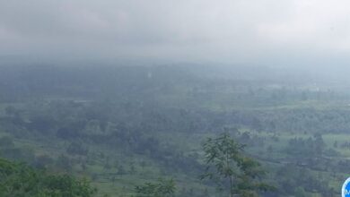 Kabut Menutup Pantauan Semeru, Erupsi Disertai Awan Panas Tetap Terekam Seismogram