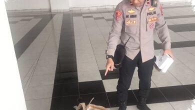 Ratusan Barang Berbahaya Diamankan Di Sekitar GBLA, Polda Jabar Siaga Penuh Jelang Laga Persib