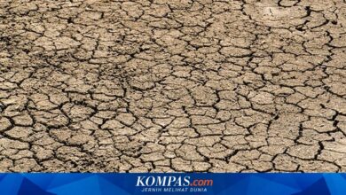 Juni Mulai Mengeringkan Jawa Tengah, Puncak Kemarau Terluas Justru Datang Agustus