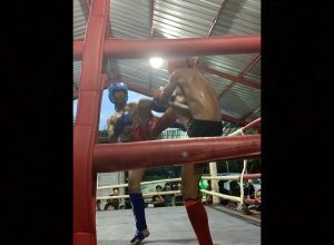 Pembinaan Korpasgat Berbuah Tiga Medali, Atletnya Tampil Tangguh Di Kickboxing Open Solo 2026