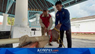 Sertifikasi Juru Sembelih Di Jateng Makin Dikejar, Dua Petugas Di Tiap RPH Jadi Kebutuhan Penting