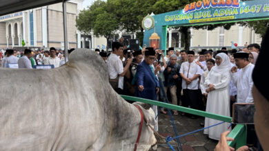 Khofifah Sebut Kurban Jatim Tetap Sehat dan Cukup, Penjualan Malah Melonjak Jelang Iduladha 2026