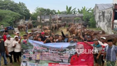 Di Tengah Beban Ekonomi, PDIP Jatim Tebar 485 Sapi Qurban untuk Warga Kecil