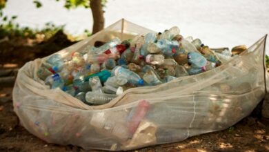 Hampir Semua Negara Menghadapi Sampah Plastik Makan Minum, Akar Masalah Ada Di Hulu