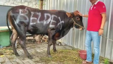Kurban Jadi Ajakan Kepedulian, Didik Beldex Salurkan Sapi untuk Warga Bubutan