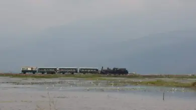 Di Ambarawa, Kereta Uap Tua Masih Menyuguhkan Perjalanan Pendek Penuh Lanskap Sejarah