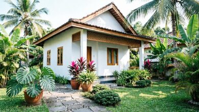 Taman Mini Jadi Kunci Rumah Desa Yang Lebih Sejuk, Solusi Adem Tanpa Butuh Lahan Luas