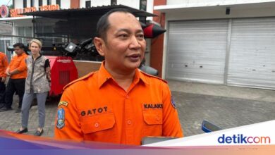Enam Kawasan Gunung Di Jatim Masuk Zona Siaga, Kemarau Lebih Kering Memicu Api