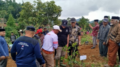 Kopi Jadi Jalan Hijau Dan Ekonomi Warga, JAI Tanam 24 Ribu Pohon Di Jawa Barat