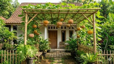 Kanopi Bambu yang Teduh Dan Tetap Menghasilkan, 6 Ide Labu Kuning untuk Halaman Rumah