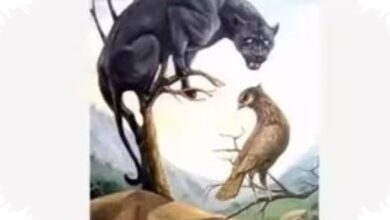 Tes Ilusi Optik Ini Mengungkap Sisi Dominanmu, Tegas Memimpin Atau Tenang Mendengarkan?