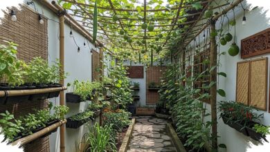 Tanaman Rambat Ini Bisa Bikin Lorong Sempit Lebih Teduh, Sekaligus Tetap Menghasilkan Panen