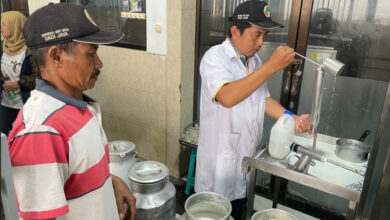 Kebutuhan Susu Jatim Terus Naik, Impor Sapi Perah Jadi Jalan Cepat Tutup Defisit 600 Ton Per Hari