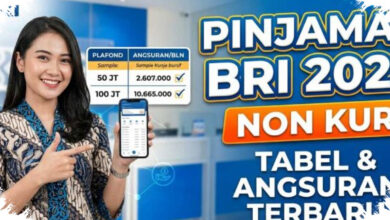 Cicilan Non-KUR BRI Ternyata Bisa Sangat Ringan, Mulai Rp146 Ribu per Bulan