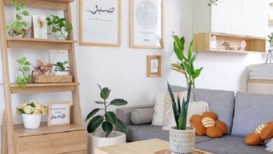 Tanaman Indoor yang Mudah Dirawat, Diam-Diam Membantu Rumah Terasa Lebih Segar