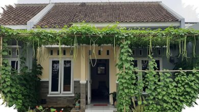 Teras Hingga Carport Bisa Lebih Teduh, Kanopi Sayur Rambat Bantu Rumah Tipe 36 Hemat Ruang