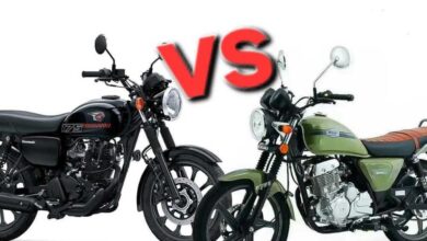 Suzuki Cool Biao 150 Lebih Ringan Dan Irit, Kawasaki W175 Street Unggul Di Tenaga Dan Aura Klasik
