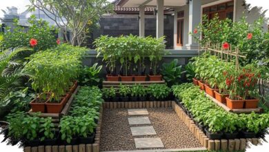Kebun Sayur Depan Rumah Bisa Tetap Rapi, 9 Ide Ini Menjaga Jalur Tetap Lapang