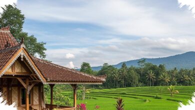 Jendela Jalusi Bikin Rumah Desa Tetap Sejuk, Terang Masuk Tanpa Kehilangan Privasi