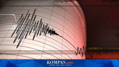 Warga Gorontalo Kaget Saat Sarapan, Getaran Gempa Dari Teluk Tomini Terasa Seperti Dilempar