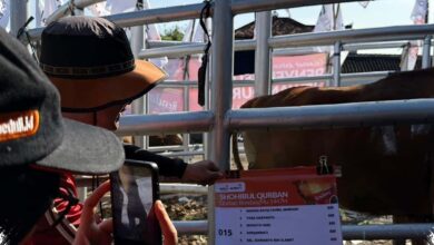 Rendangmu Jadi Cadangan Pangan Dua Tahun, Kurban Muhammadiyah Jateng Lampaui Rp 9 Miliar