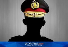 BGN dan BPOM Dibuka untuk Polisi Aktif, Ini Batas Penempatan yang Diusulkan Pemerintah
