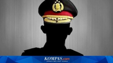 BGN dan BPOM Dibuka untuk Polisi Aktif, Ini Batas Penempatan yang Diusulkan Pemerintah