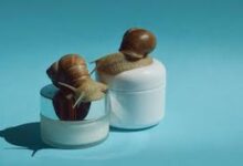 Perbaiki Kelembapan, Regenerasi, Dan Kemerahan Kulit Dengan Snail Mucin Dalam Satu Formula