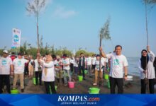 Pantura Diperkuat Dari Ujung Pesisir, 92.290 Bibit Mangrove Ditanam Serentak di Jateng