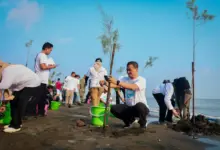 Abrasi Pantura Makin Berat, Ahmad Luthfi Dorong Mageri Segoro di Pantai Tirang